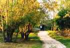 parco alex langer