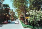 viale cavallotti