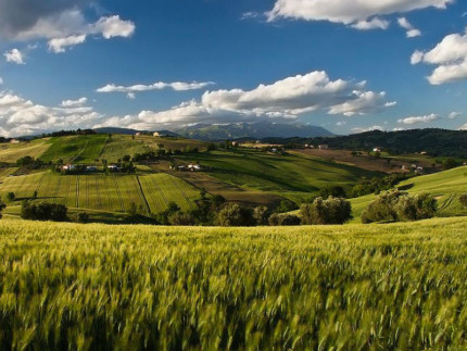 Una veduta del territorio fermano