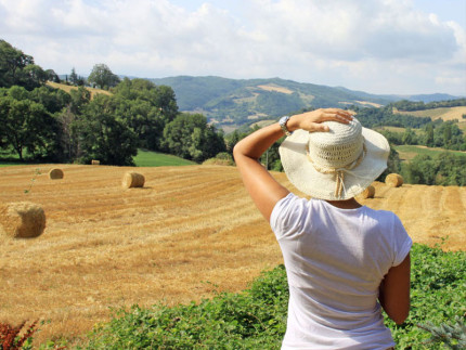 Marche. Land of hats - Copertina del catalogo