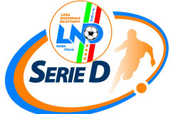 Serie D - Lega Nazionale Dilettanti calcio