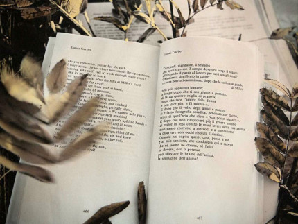 Libri dimenticati - foto Ennio Brilli