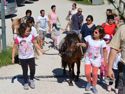 Associazione Arcobaleno: visita al maneggio