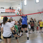 VolleyVille 2016