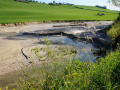 Erosione Fondo Agricolo in zona Ponzano