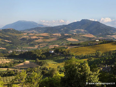 Veduta e panorama attorno a Monte Rinaldo