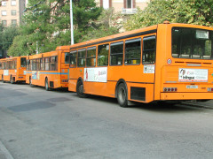 autobus, trasporto pubblico locale ad Ancona