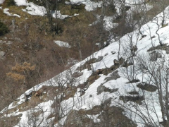 Situazione neve nel Parco dei Monti Sibillini