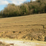Esempio delle fessurazioni di terreno delle colline sulla riva destra del torrente Ete Vivo