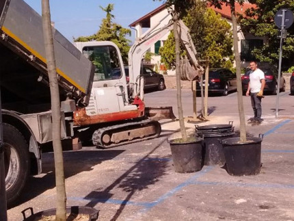 Piantumazione nuovi alberi in piazzale Carducci a Fermo