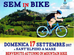 SEM in bike