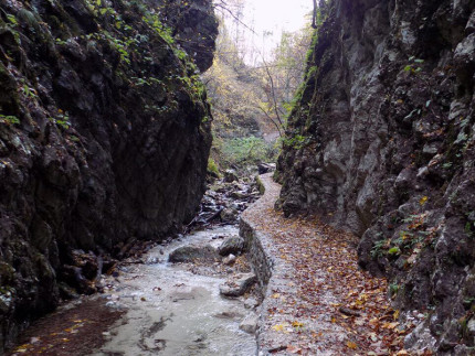 Gola dell'infernaccio: il percorso naturalistico