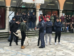 Unità Cinofile della Polizia di Stato per i controlli nelle scuole del fermano