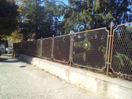 Ripulita la siepe del parco pubblico di Corso Marconi a Fermo