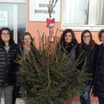Alberi di Natale donati da Fermo Asite a Centro Montessori