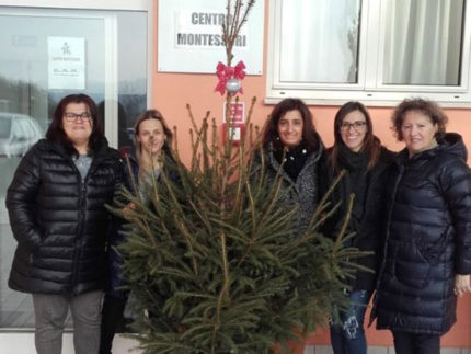 Alberi di Natale donati da Fermo Asite a Centro Montessori