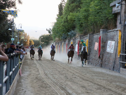 Cavalcata dell'Assunta a Fermo