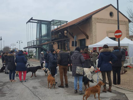 Pasquella di S. Antonio Abate a Porto Sant'Elpidio: benedizione degli animali