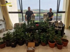 Marijuana sequestrata a Monte Urano