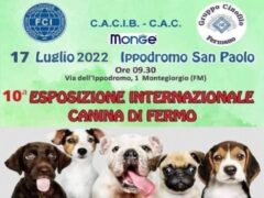 Esposizione canina a Montegiorgio