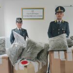 Marijuana sequestrata a Porto Sant'Elpidio