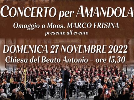 Locandina del "Concerto per Amandola"