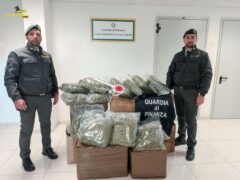 Marijuana sequestrata dalla Guardia di Finanza