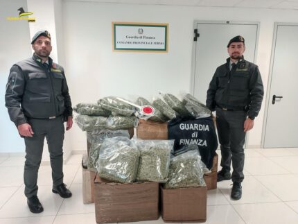 Marijuana sequestrata dalla Guardia di Finanza