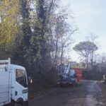 Potature a Sant'Elpidio a Mare