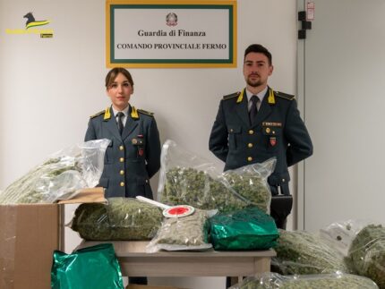 Sequestro di marijuana nel Fermano