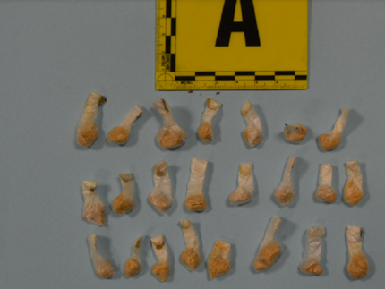 Cocaina sequestrata a Fermo