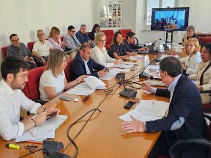 Commissione Affari istituzionali