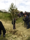 un bosco per la città