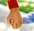 genitori e figli
