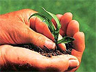 Agricoltura