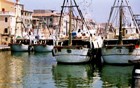 pescherecci