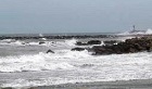 mare