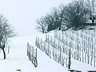 Campi innevati Fermo