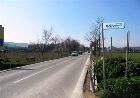 faleriense